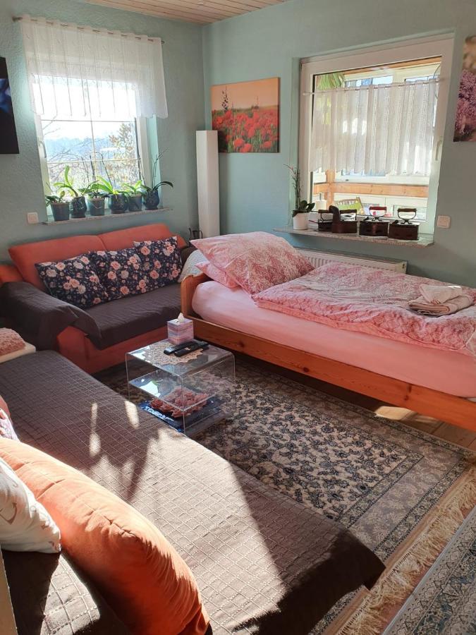 Luxus Ferienwohnung Pfungstadt Kültér fotó